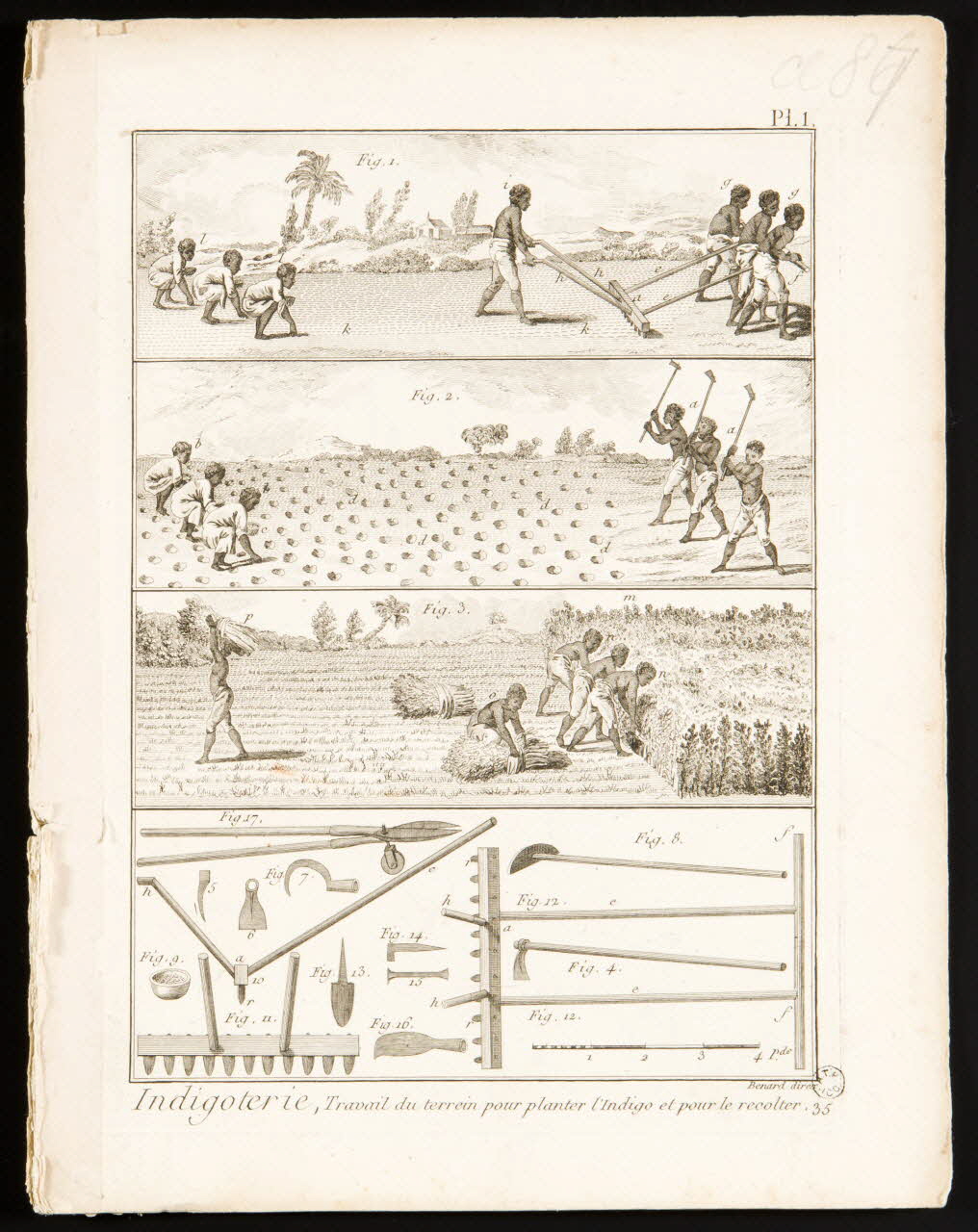 Album Indigoterie 1962.25.145-149 Photo