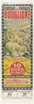 affiche CIRQUE DES FRERES  BOUGLIONE  10  OURS  BLANCS 1962.67.170 Photo