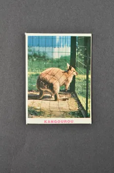 Fernand Nathan jeu de loto Zoo de Jean Richard 1968 1969.42.20 Photo Mucem