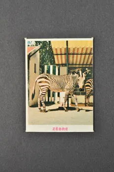 Fernand Nathan jeu de loto Zoo de Jean Richard 1968 1969.42.22 Photo Mucem