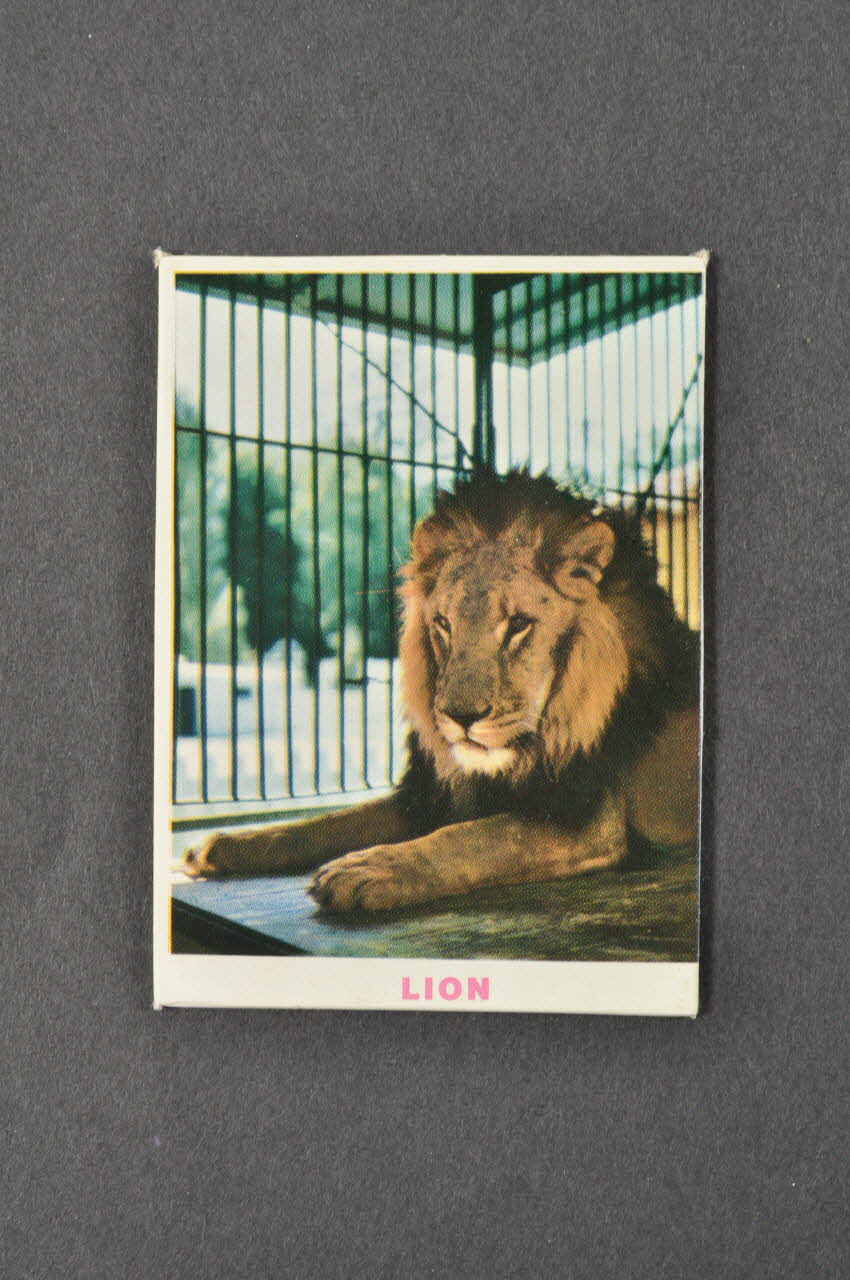 Fernand Nathan jeu de loto Zoo de Jean Richard 1968 1969.42.25  Photo Mucem