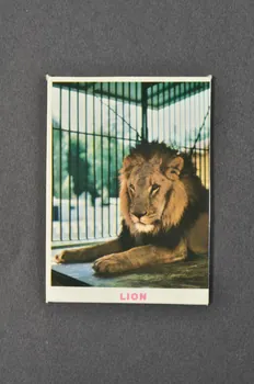 Fernand Nathan jeu de loto Zoo de Jean Richard 1968 1969.42.25 Photo Mucem