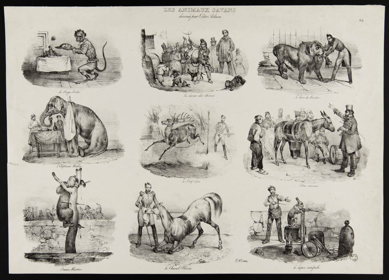 estampe LES ANIMAUX SAVANS 1963.27.63 Photo