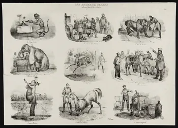 estampe LES ANIMAUX SAVANS 1963.27.63 Photo