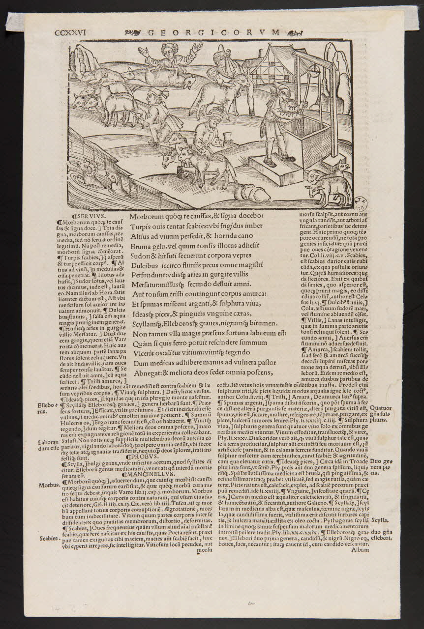 estampe GEORGICORVM 1963.5.41 Photo