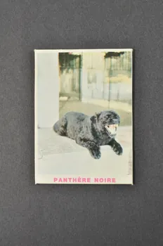 Fernand Nathan jeu de loto Zoo de Jean Richard 1968 1969.42.27 Photo Mucem