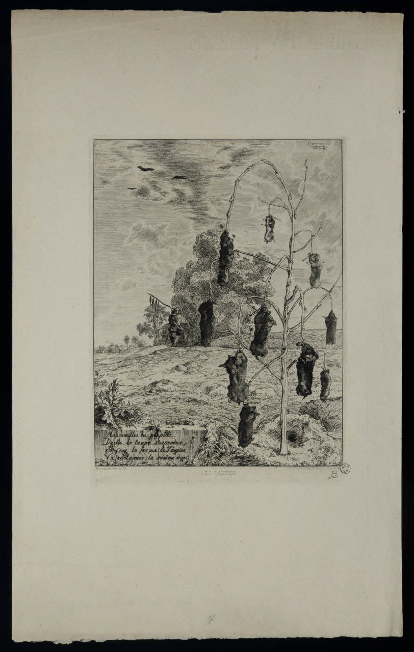 estampe LES TAUPES. 1964.39.27 Photo