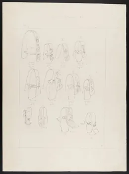 Pierre Soulier partie d'un ensemble de dessins Equipement du troupeau 1962 1964.40.38 Photo