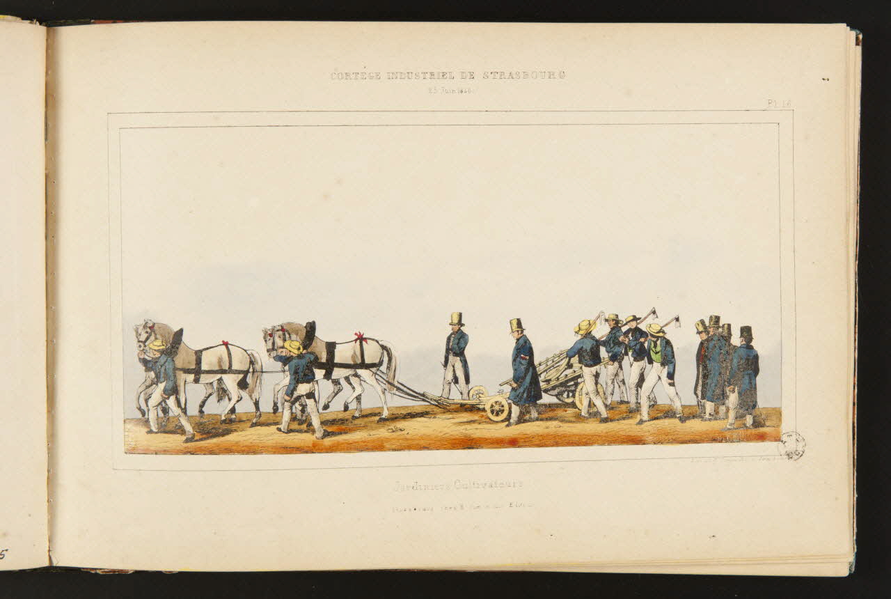 album Jardiniers Cultivateurs 1964.60.1.16 Photo