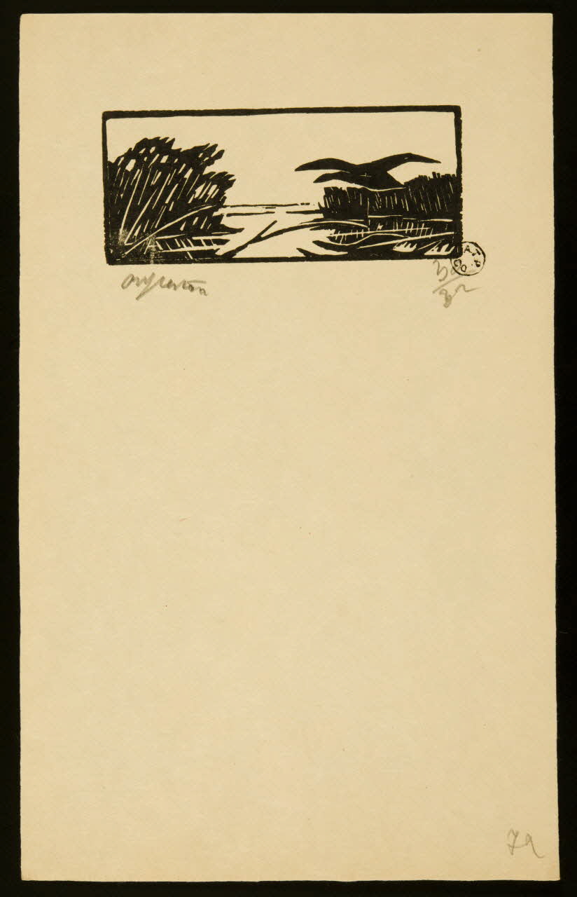 album Oiseau survolant un marais 1964.64.110 Photo