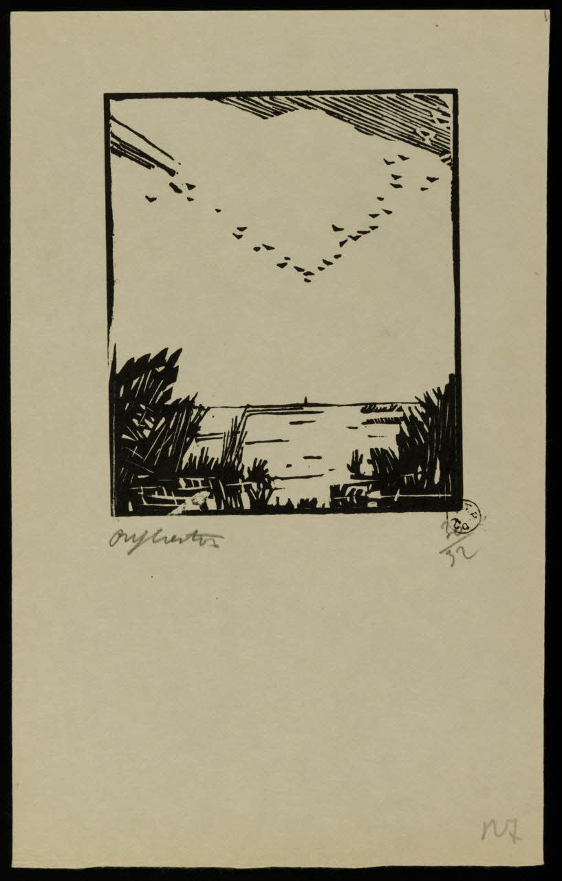album Vol d'oiseaux au dessus de la Brière 1964.64.114 Photo