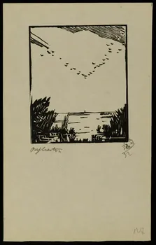 album Vol d'oiseaux au dessus de la Brière 1964.64.114 Photo