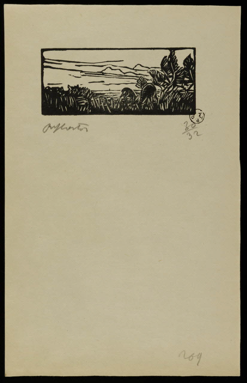 album Moutons en pâture 1964.64.127 Photo