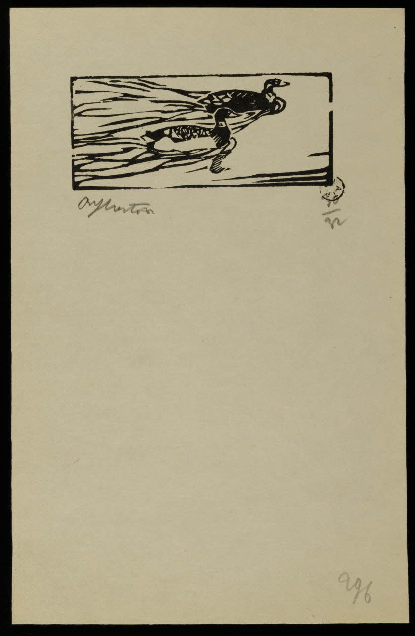 album Canards sur un plan d'eau 1964.64.130 Photo