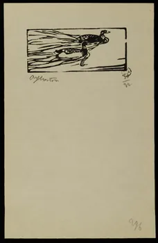 album Canards sur un plan d'eau 1964.64.130  Photo