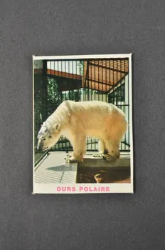Fernand Nathan jeu de loto Zoo de Jean Richard 1968 1969.42.44 Photo Mucem