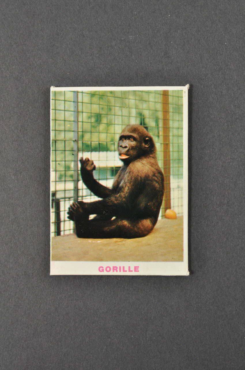 Fernand Nathan jeu de loto Zoo de Jean Richard 1968 1969.42.47  Photo Mucem