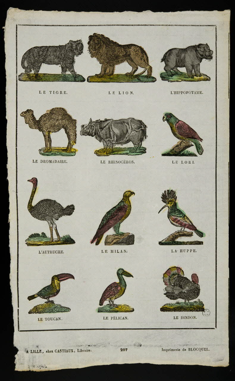 Jean-Baptiste Castiaux ; Simon-François Blocquel imagerie ancienne Planche d'animaux Lille 1809-1837 1965.75.522 Photo