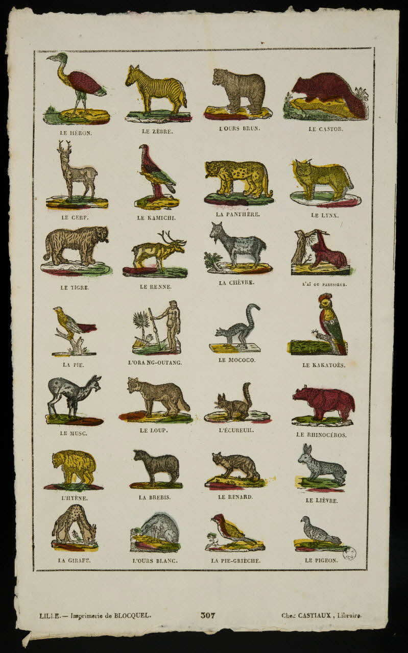 Jean-Baptiste Castiaux ; Simon-François Blocquel imagerie ancienne Planche d'animaux Lille 1809-1937 1965.75.541 Photo