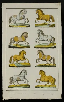 Henri Désiré Porret ; Jean-Baptiste Castiaux ; Simon-François Blocquel imagerie ancienne Chevaux au galop Lille 1809-1837 1965.75.562 Photo