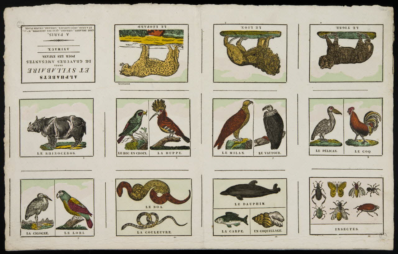 Delarue Marie François ; Jean-Baptiste Castiaux imagerie ancienne ALPHABETS  ET SYLLABAIRE  ORNES  DE GRAVURES AMUSANTES  POUR LES ENFANS  ANIMAUX Lille 1829-1837 1965.75.642 Photo