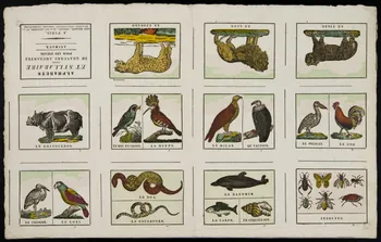 Delarue Marie François ; Jean-Baptiste Castiaux imagerie ancienne ALPHABETS  ET SYLLABAIRE  ORNES  DE GRAVURES AMUSANTES  POUR LES ENFANS  ANIMAUX Lille 1829-1837 1965.75.642  Photo