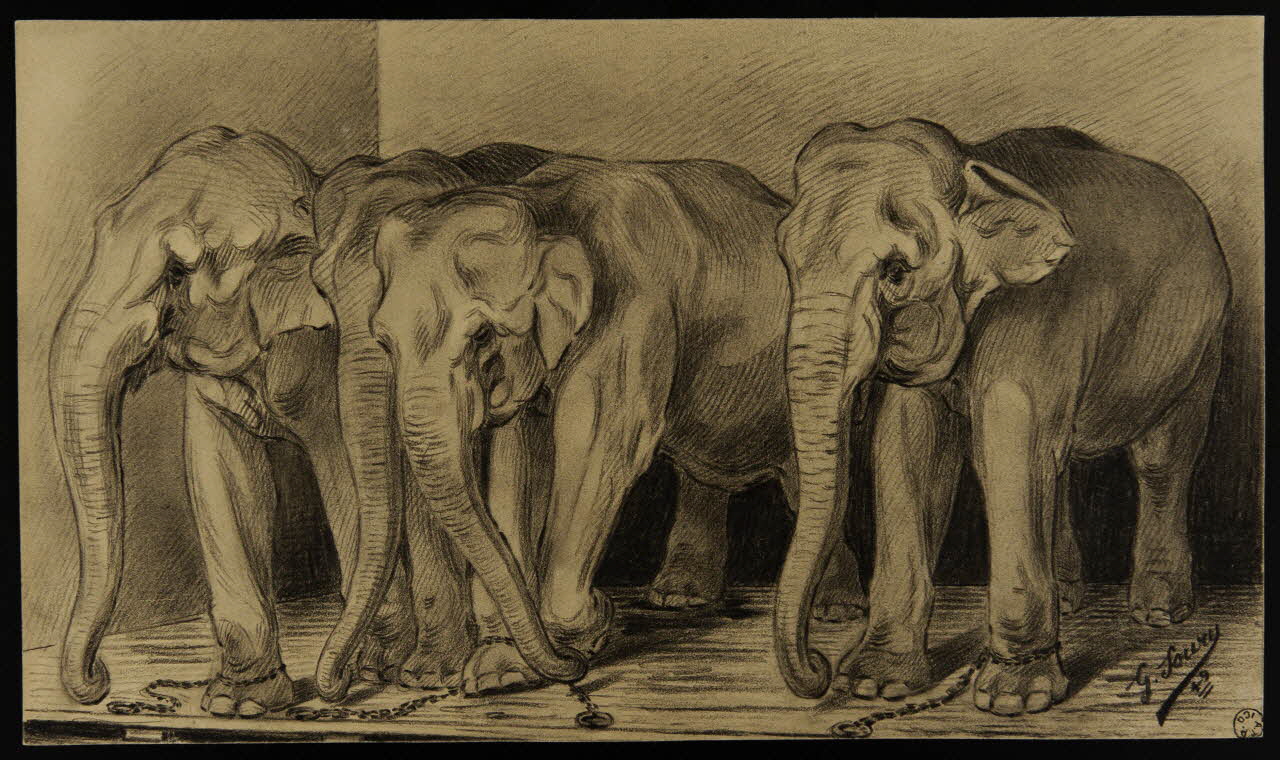 Gustave Soury dessin Quatre éléphants d'Asie entravés 1949 1966.5.6 Photo
