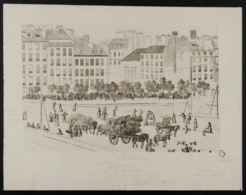 estampe Vue de l'ancien quai aux fleurs à Paris 1966.81.187 Photo