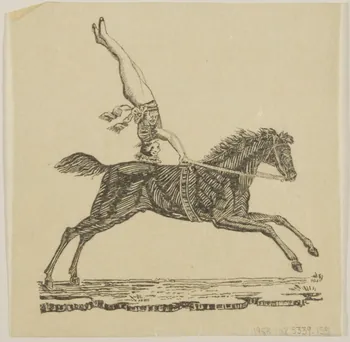 partie d'un ensemble de dessins Voltige 1968.102.5339.155 Photo