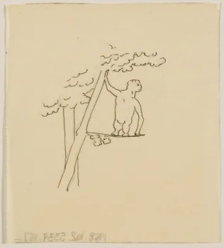partie d'un ensemble de dessins Singe dans un arbre 1968.102.5339.167  Photo