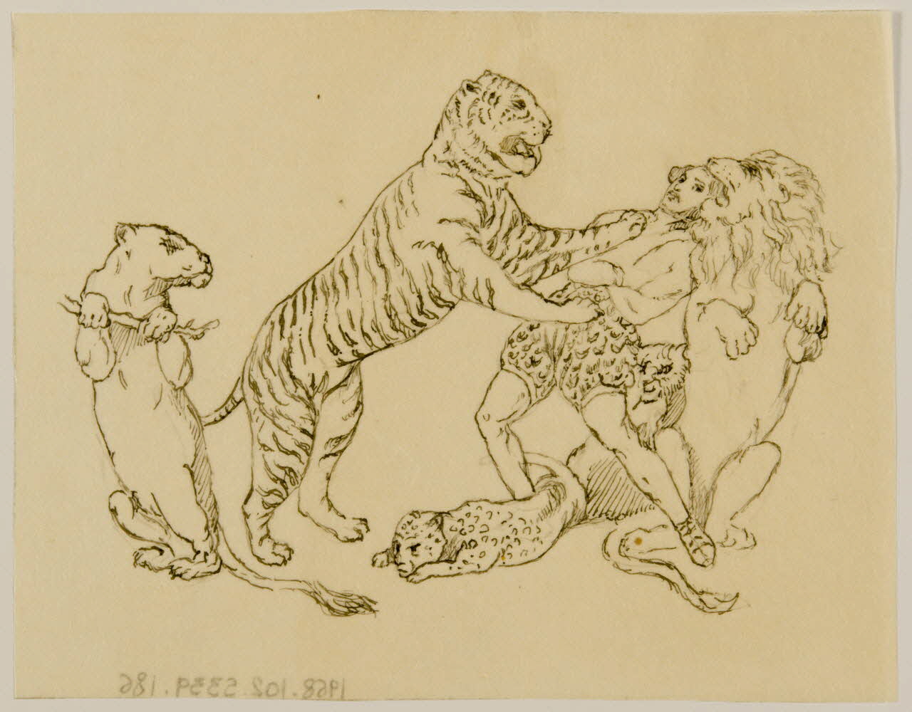 partie d'un ensemble de dessins Homme au milieu des fauves 1968.102.5339.186 Photo