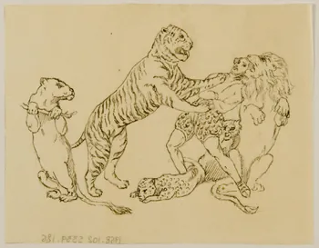 partie d'un ensemble de dessins Homme au milieu des fauves 1968.102.5339.186 Photo