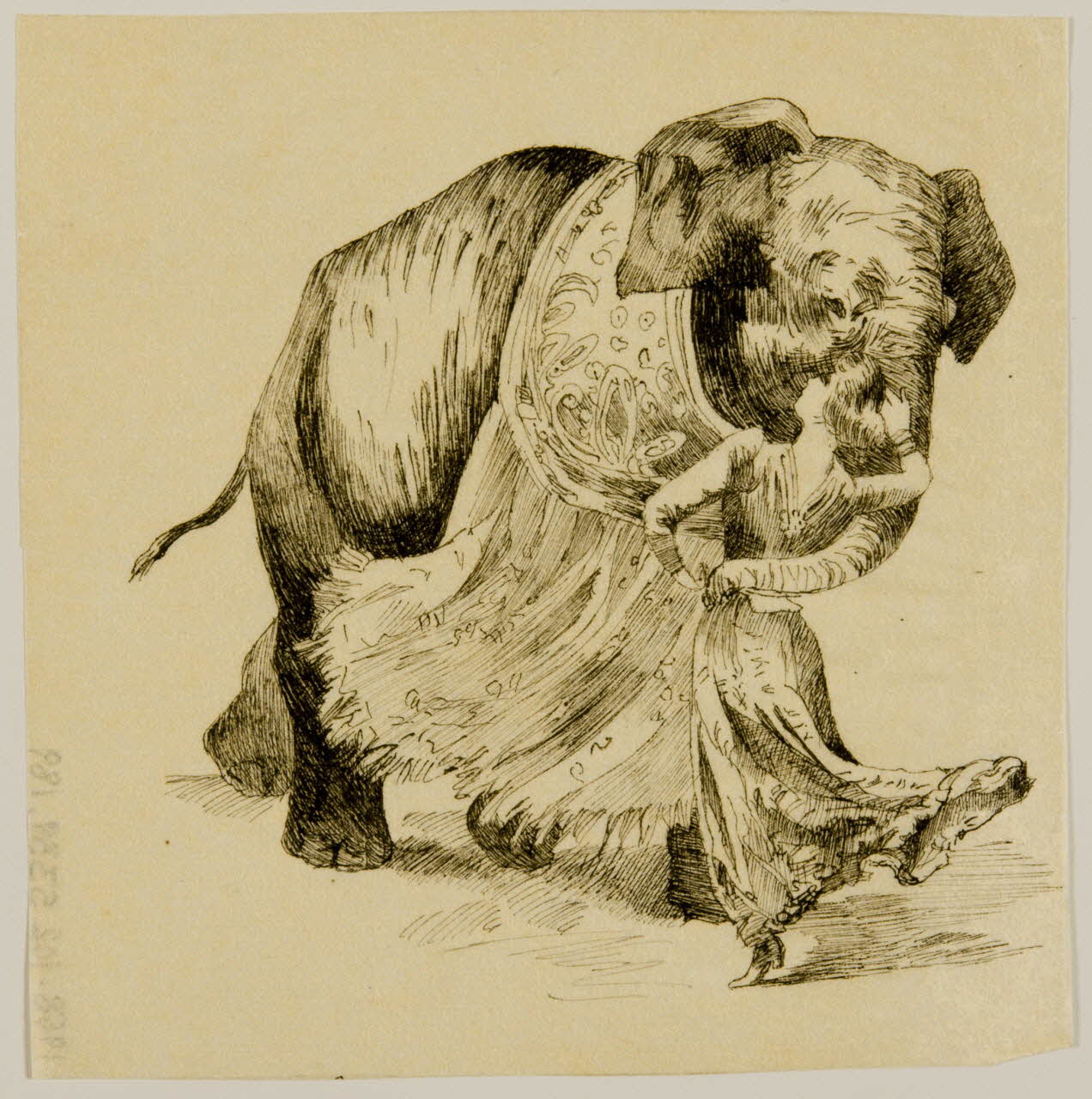 partie d'un ensemble de dessins Femme entourée par la trompe d'un éléphant 1968.102.5339.189 Photo