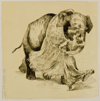 partie d'un ensemble de dessins Femme entourée par la trompe d'un éléphant 1968.102.5339.189  Photo