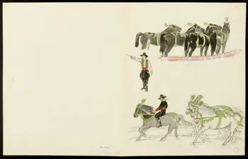 partie d'un ensemble de dessins Dressage des chevaux 1968.102.5353.7 Photo