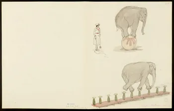 partie d'un ensemble de dessins Eléphant équilibriste 1968.102.5354.13 Photo