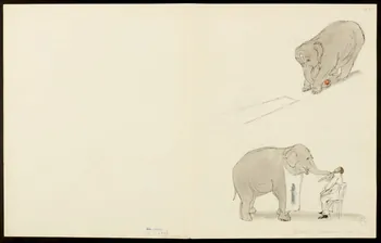 partie d'un ensemble de dessins Dressage des éléphants 1968.102.5354.14 Photo