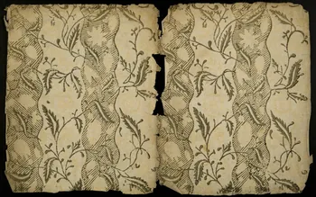 estampe Papier avec ornement floral 1968.51.304 Photo