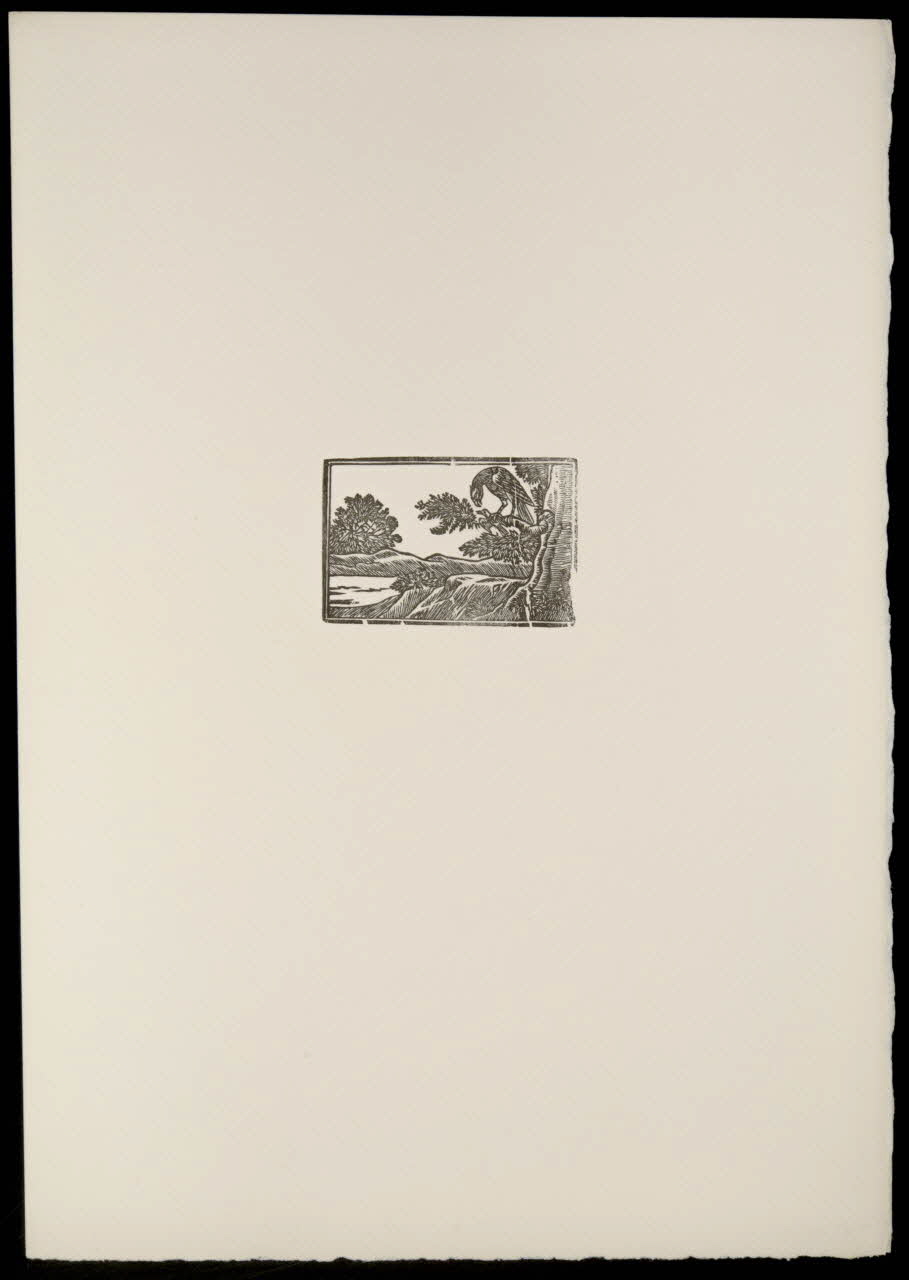 estampe Fable : L'aigle et le pigeon 1969.87.427.3 Photo