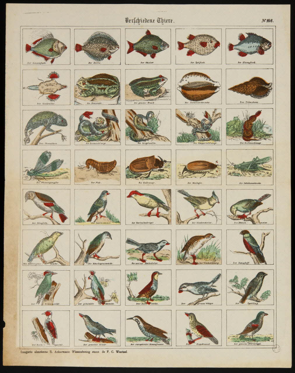 estampe Berschiedene Thiere. 1971.59.58 Photo