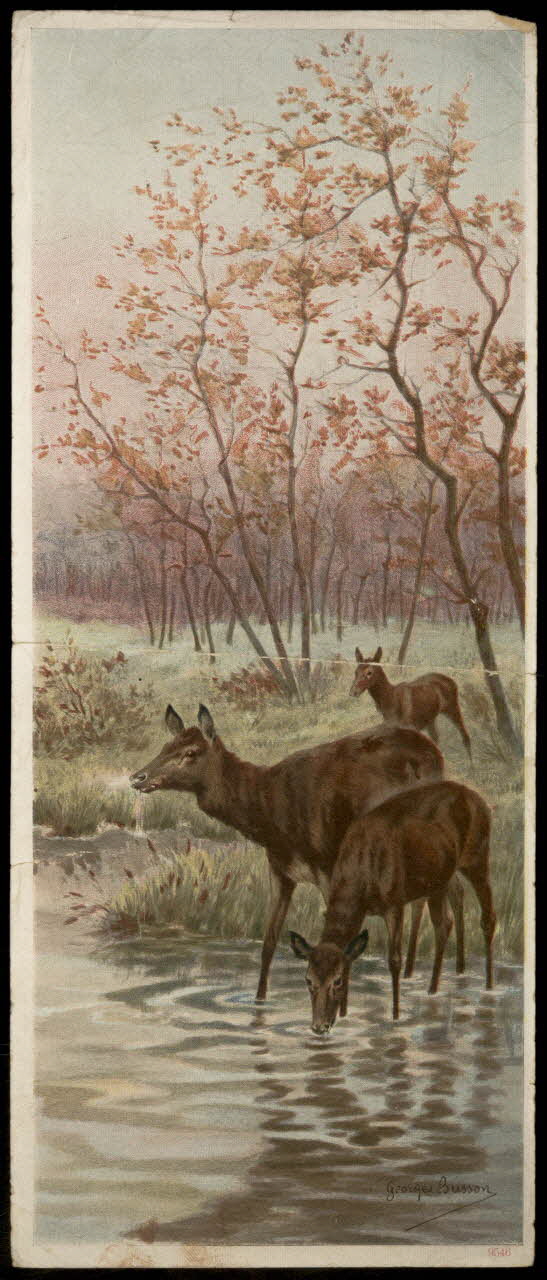 estampe Animaux à la rivière 1972.36.6 Photo