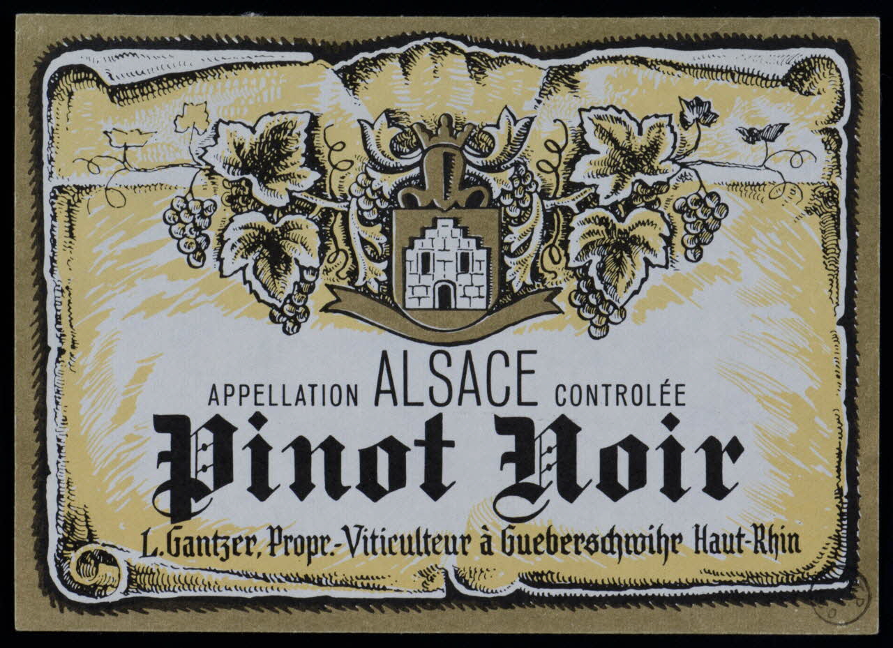 estampe APPELLATION ALSACE CONTROLEE  Pinot Noir 1972.58.7 Photo