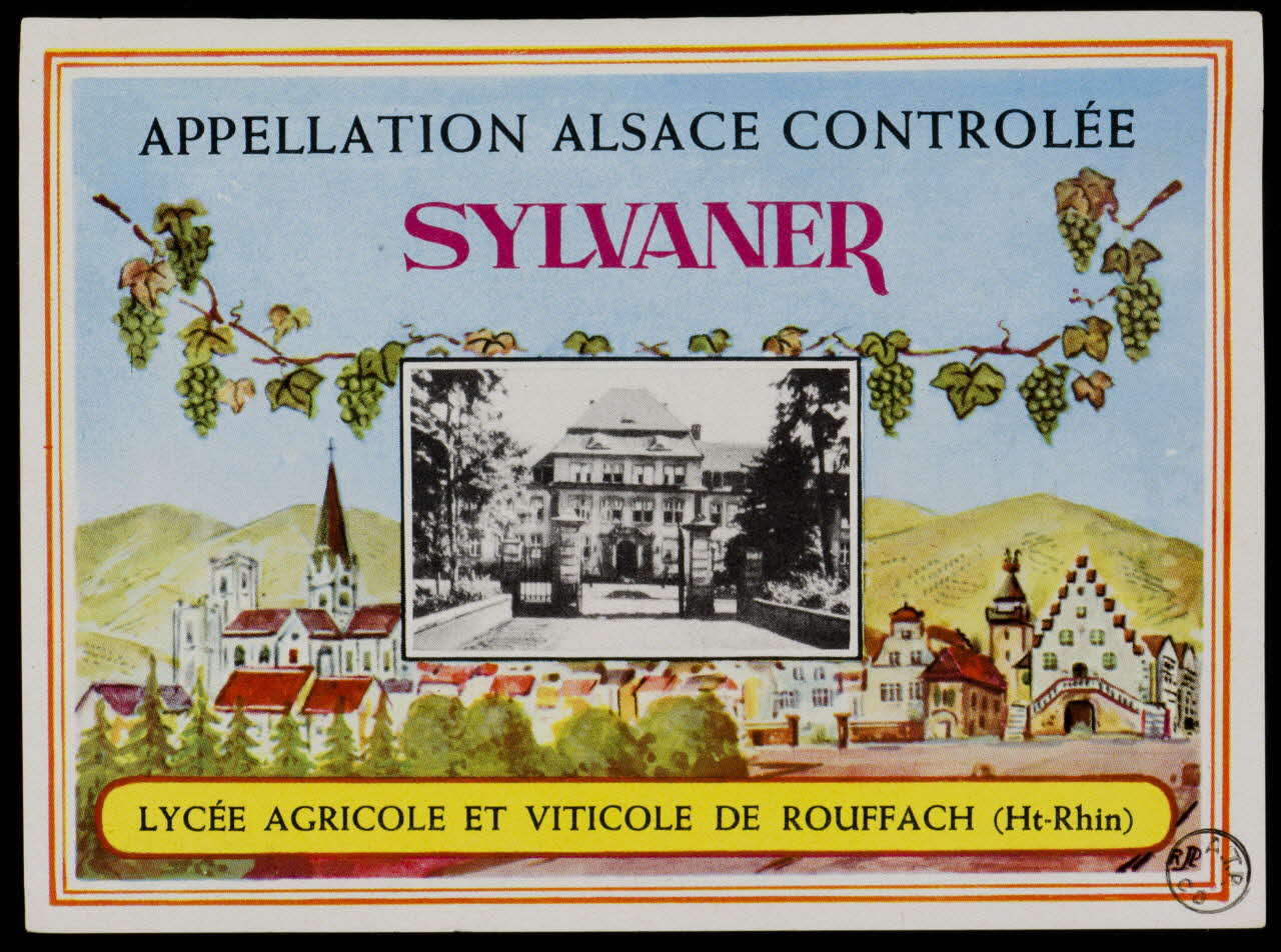 estampe APPELLATION ALSACE CONTROLEE  SYLVANER 1972.58.96.1/2 Photo