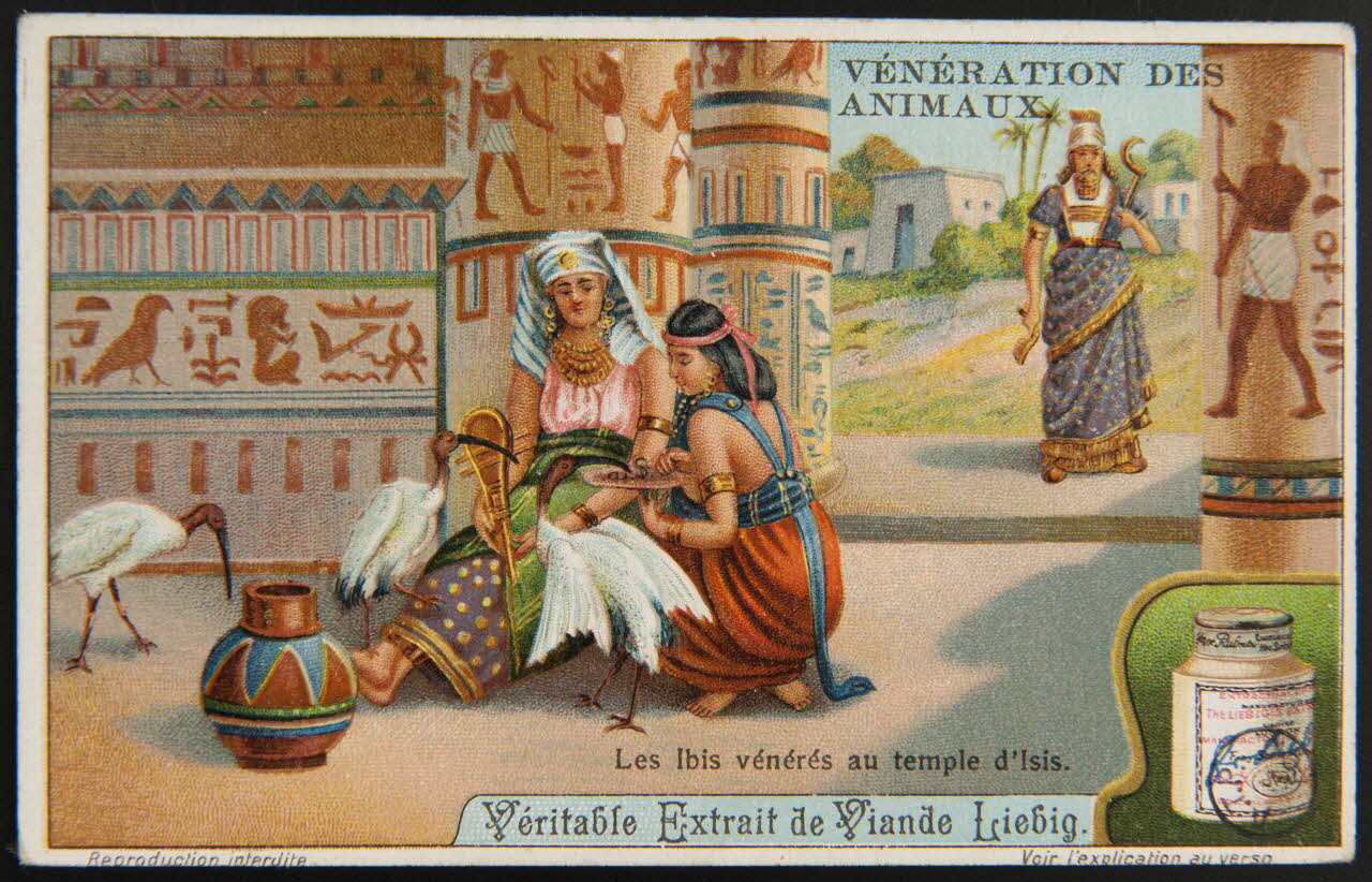 carte réclame chromo Paris 1911 1972.59.109 Photo