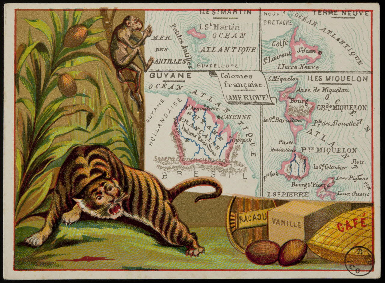 Carte réclame Colonies  françaises.  (AMERIQUE) 1972.59.94 Photo (c) Mucem