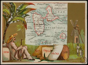 Carte réclame Colonies Françaises  (AMERIQUE)  GUADELOUPE 1972.59.95 Photo (c) Mucem