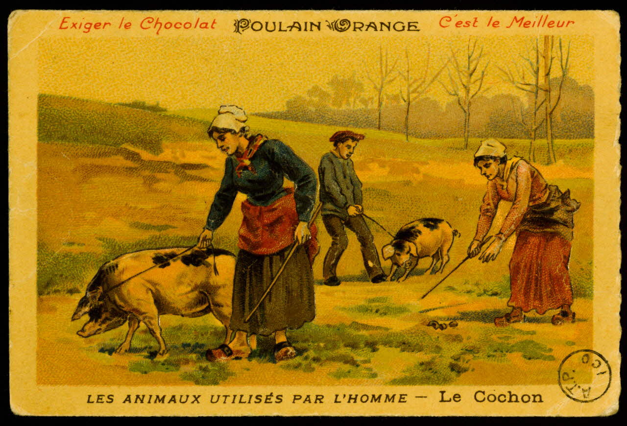 carte réclame chromo 1973.54.100 Photo