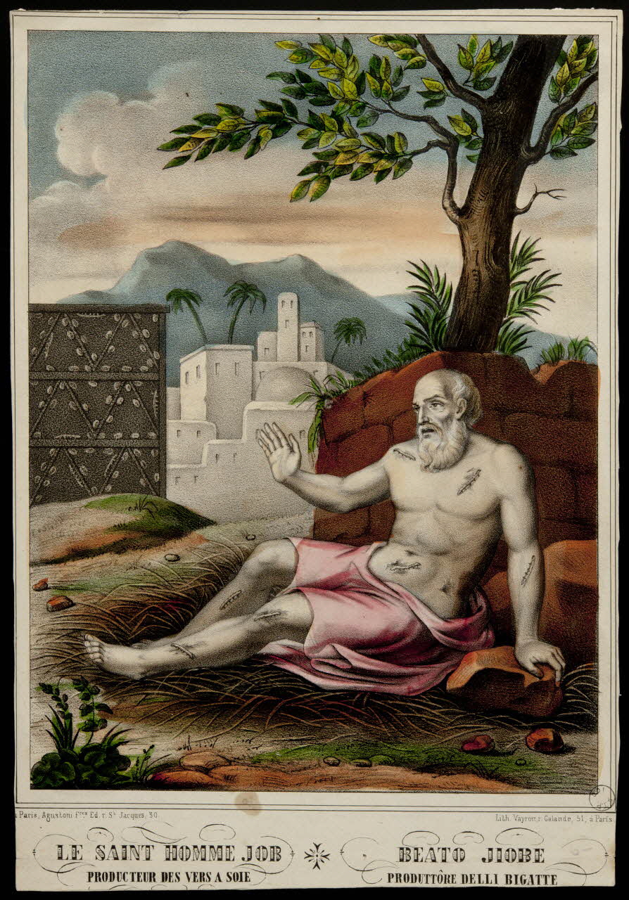 estampe LE SAINT HOMME JOB  BEATO JIOBE 1976.27.13 Photo