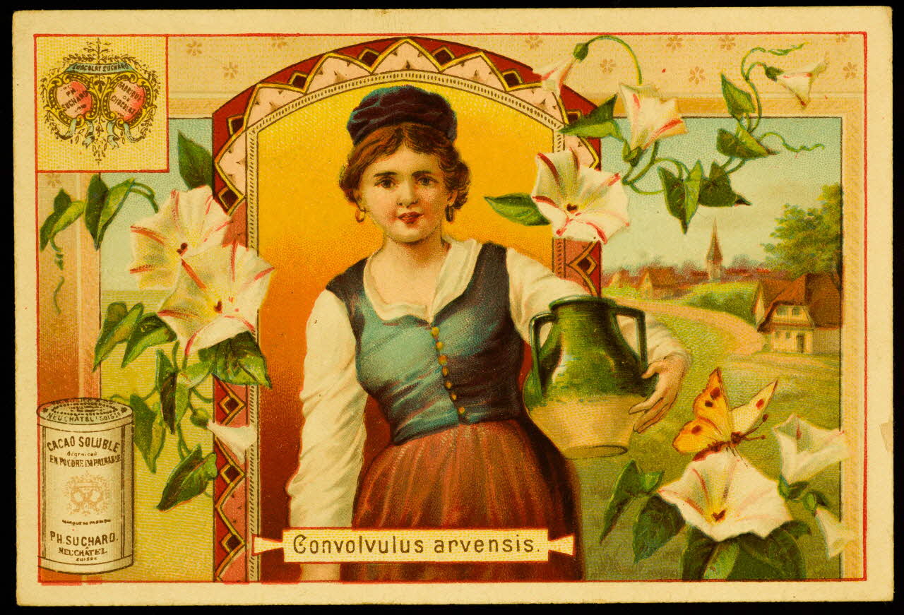 carte réclame chromo 1974.50.698 Photo