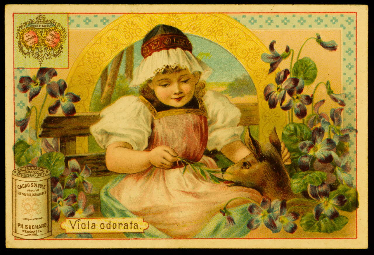 carte réclame chromo 1974.50.699 Photo